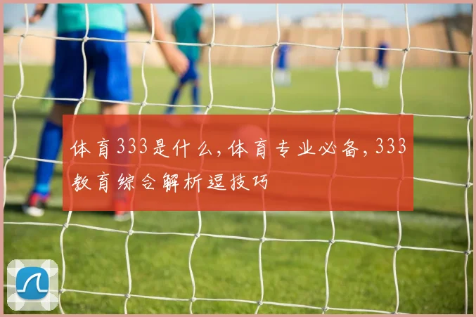 体育333是什么,体育专业必备,333教育综合解析逗技巧