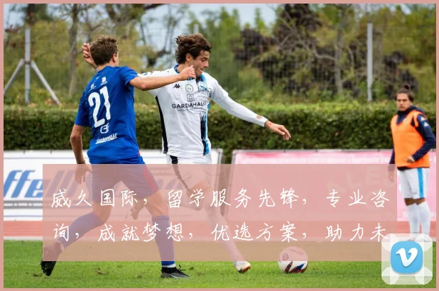 威久国际，留学服务先锋，专业咨询，成就梦想，优选方案，助力未来