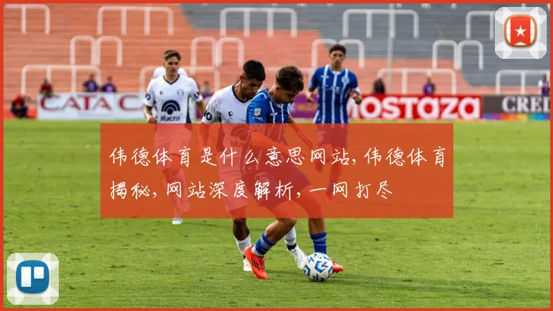 伟德体育是什么意思网站,伟德体育揭秘,网站深度解析,一网打尽